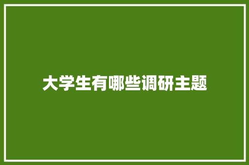 大学生有哪些调研主题