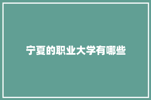 宁夏的职业大学有哪些