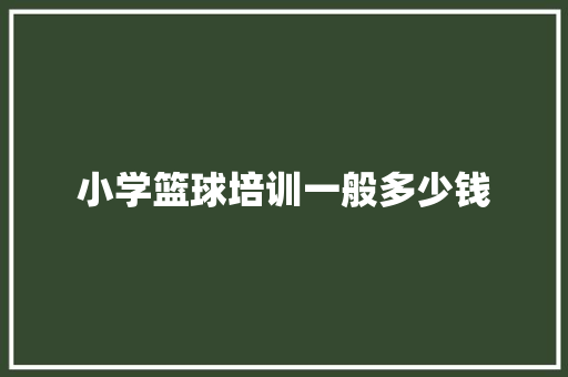 小学篮球培训一般多少钱