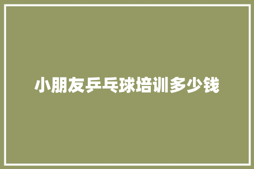 小朋友乒乓球培训多少钱