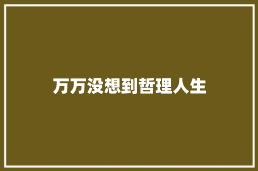 万万没想到哲理人生