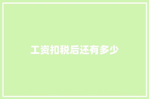 工资扣税后还有多少 范文赏析