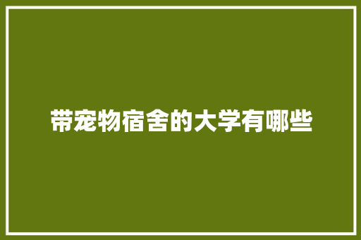 带宠物宿舍的大学有哪些