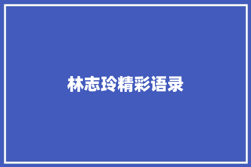 林志玲精彩语录 简历模板