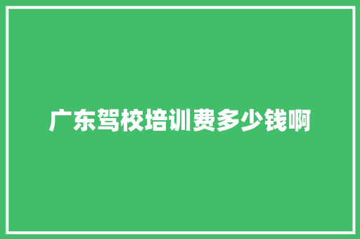广东驾校培训费多少钱啊