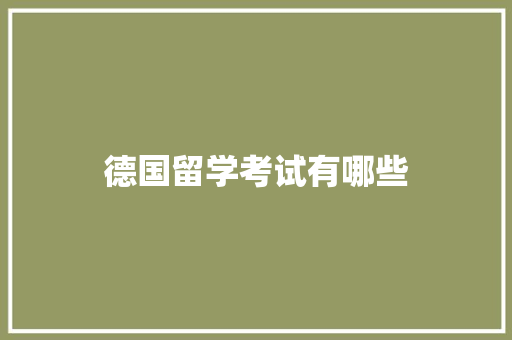 德国留学考试有哪些 报告写作