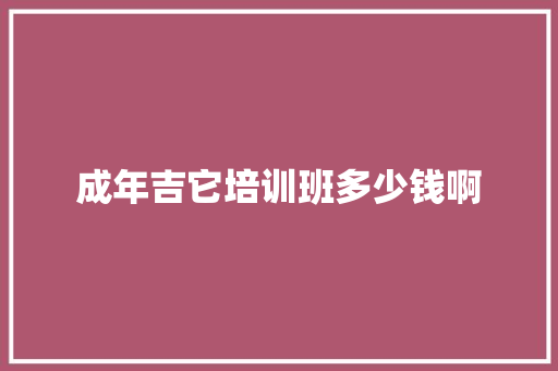 成年吉它培训班多少钱啊
