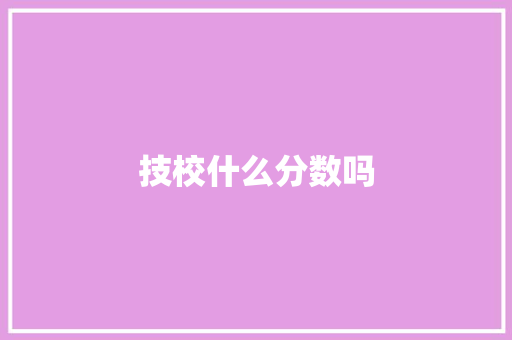 技校什么分数吗