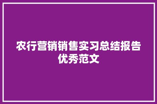 农行营销销售实习总结报告优秀范文 写作素材