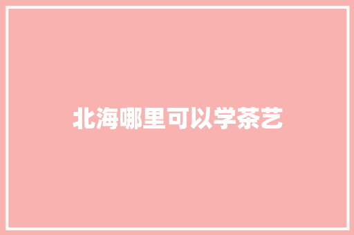 北海哪里可以学茶艺