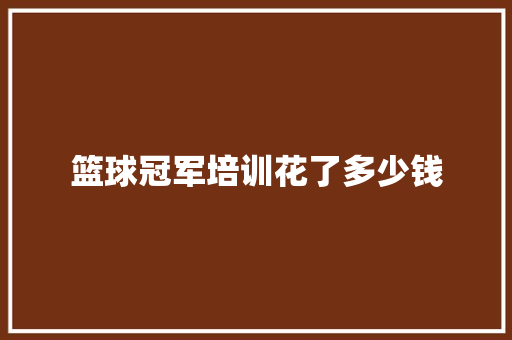 篮球冠军培训花了多少钱