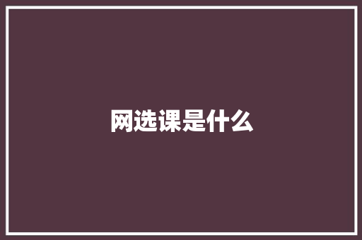 网选课是什么