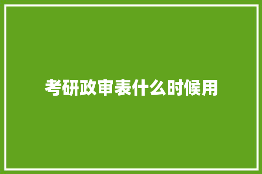 考研政审表什么时候用