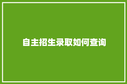 自主招生录取如何查询