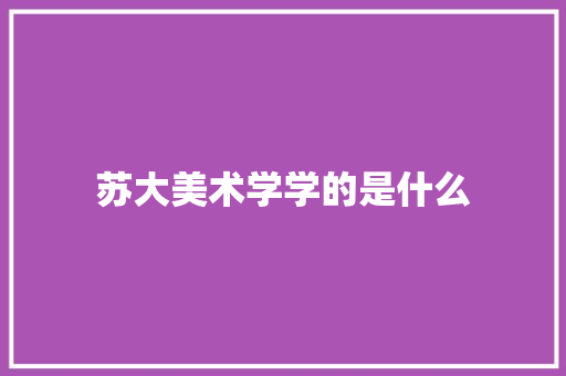 苏大美术学学的是什么