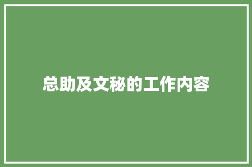 总助及文秘的工作内容 写作素材
