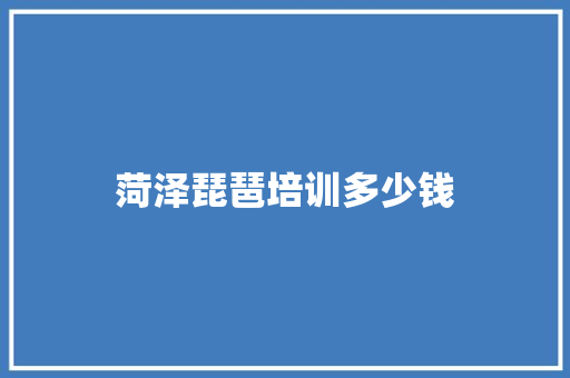菏泽琵琶培训多少钱