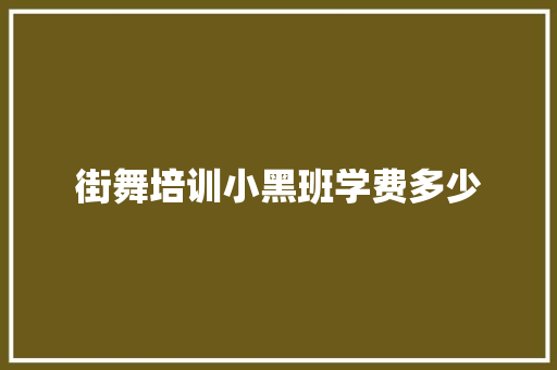 街舞培训小黑班学费多少
