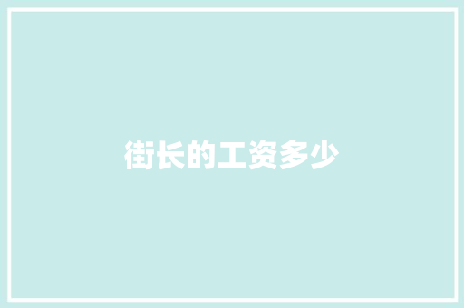 街长的工资多少