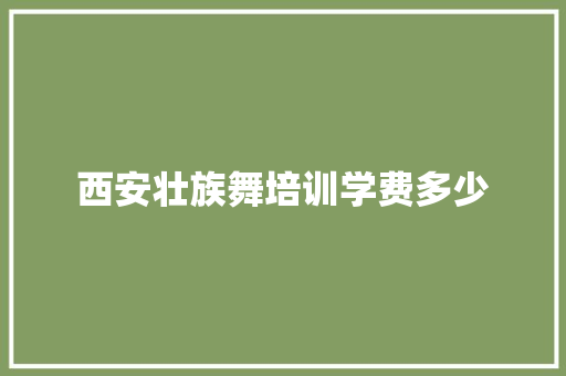 西安壮族舞培训学费多少