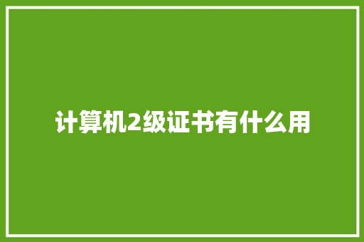 计算机2级证书有什么用