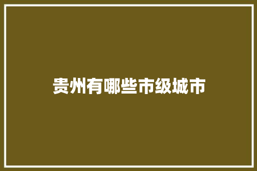 贵州有哪些市级城市 写作技巧