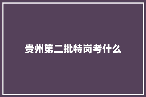 贵州第二批特岗考什么
