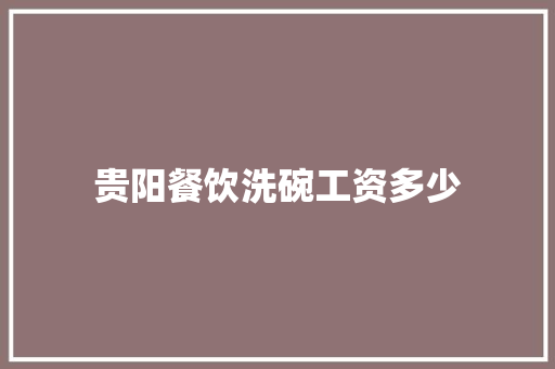 贵阳餐饮洗碗工资多少