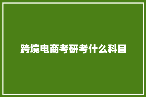 跨境电商考研考什么科目