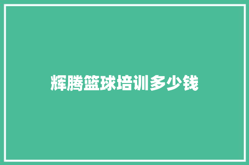 辉腾篮球培训多少钱