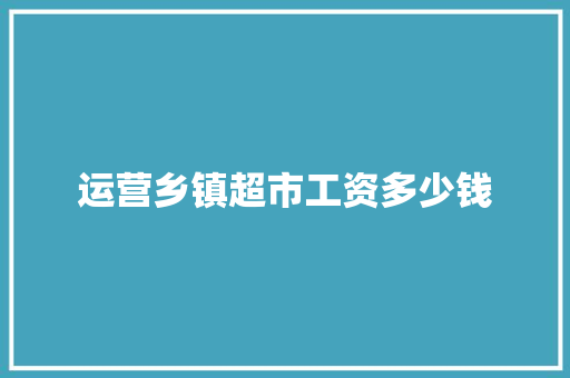 运营乡镇超市工资多少钱