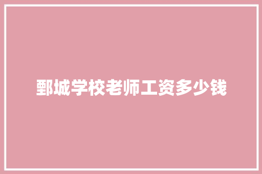 鄄城学校老师工资多少钱