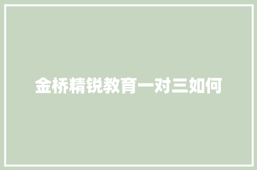 金桥精锐教育一对三如何
