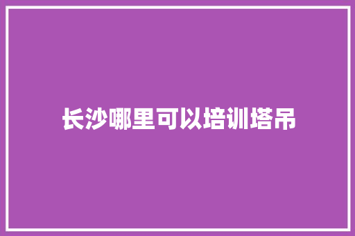 长沙哪里可以培训塔吊