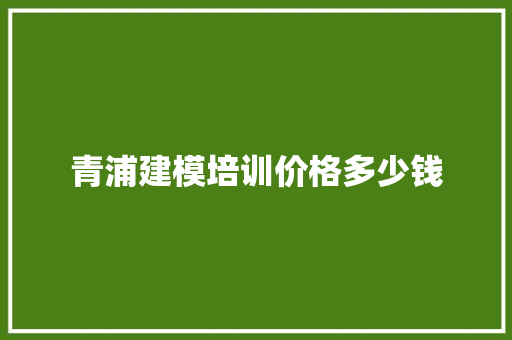 青浦建模培训价格多少钱