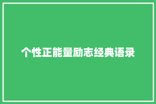 个性正能量励志经典语录 词汇积累