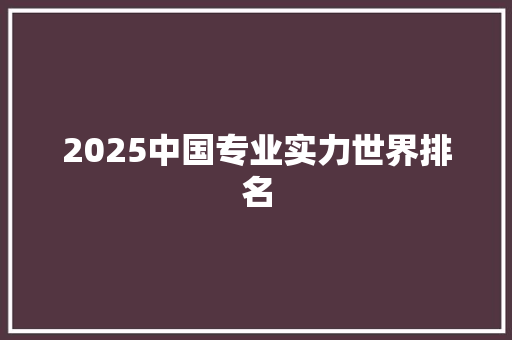 2025中国专业实力世界排名