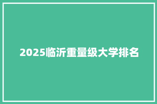 2025临沂重量级大学排名