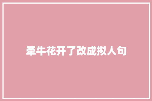 牵牛花开了改成拟人句 简历模板