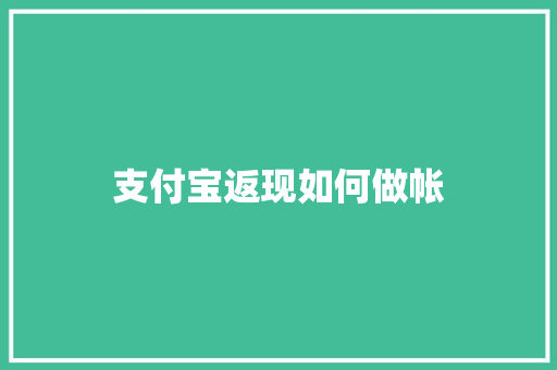 支付宝返现如何做帐