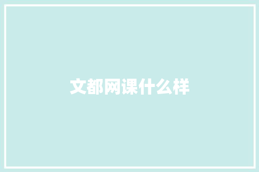文都网课什么样