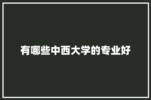 有哪些中西大学的专业好