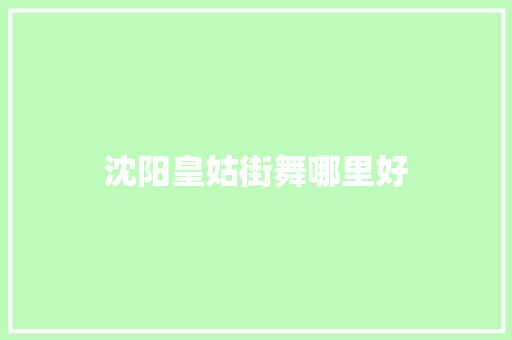沈阳皇姑街舞哪里好