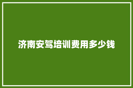 济南安驾培训费用多少钱