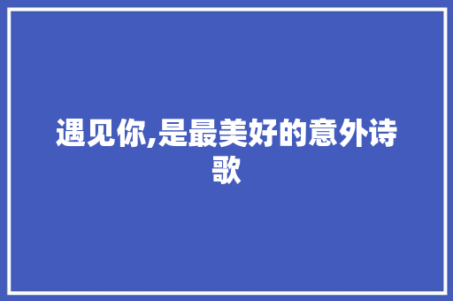 遇见你,是最美好的意外诗歌 诗歌创作