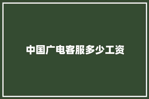 中国广电客服多少工资
