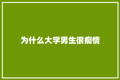 为什么大学男生很痴情