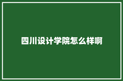 四川设计学院怎么样啊