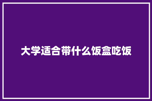 大学适合带什么饭盒吃饭