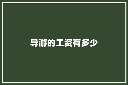 导游的工资有多少